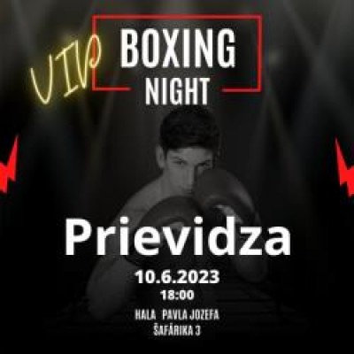 VIP Boxing Night