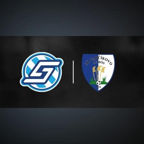 FK Spartak Dubnica nad Váhom vs. ŠK 1923 Gabčíkovo