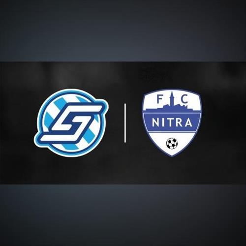 FK Spartak Dubnica nad Váhom vs. FC Nitra