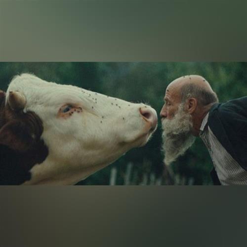 Filmový Lúč: Raději zešílet v divočině (Česko, Slovensko, 2025)