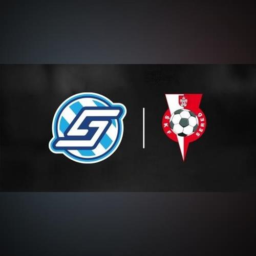 FK Spartak Dubnica nad Váhom vs. ŠKF Sereď