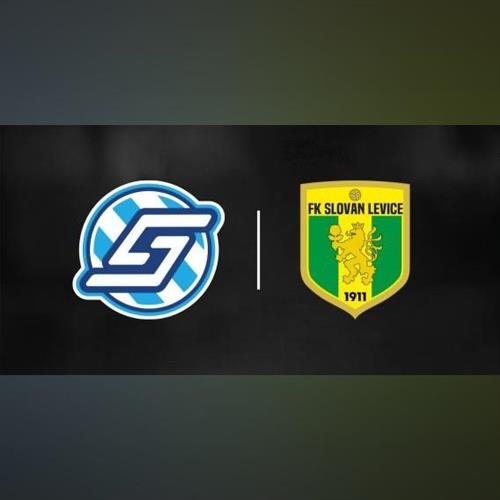 FK Spartak Dubnica nad Váhom vs. FK Slovan Levice