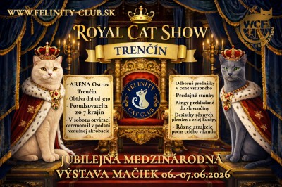 Medzinárodná výstava mačiek