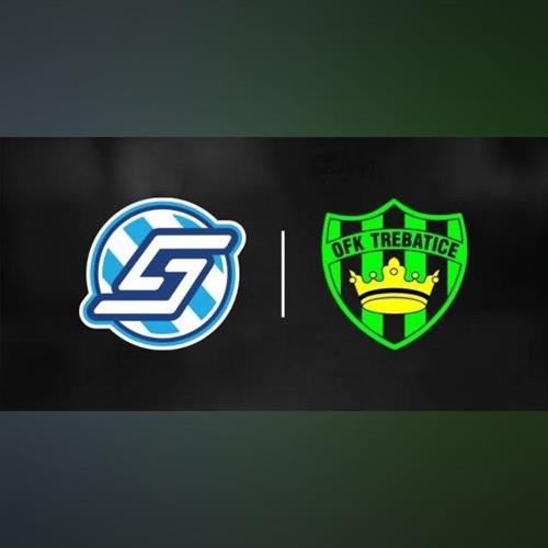 FK Spartak Dubnica nad Váhom vs. OFK Trebatice