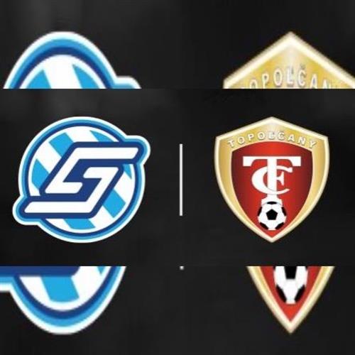 FK Spartak Dubnica nad Váhom vs. FC Topoľčany