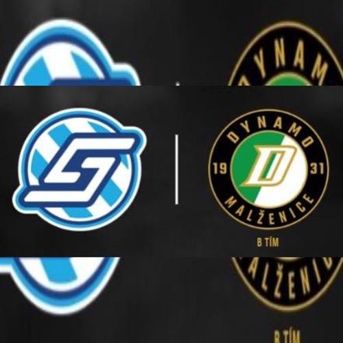 FK Spartak Dubnica nad Váhom vs. Dynamo Malženice B