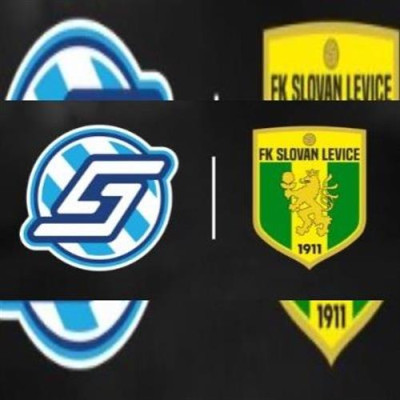 FK Spartak Dubnica nad Váhom vs. FK Slovan Levice